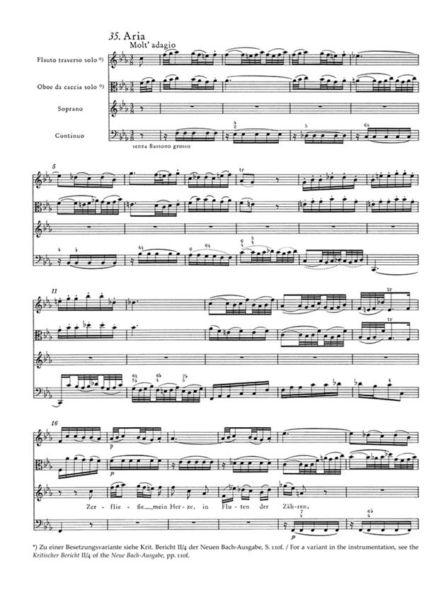 Johannes Passion BWV245